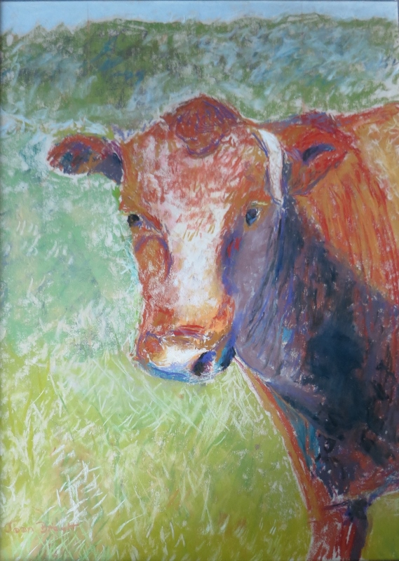 Irish Cow