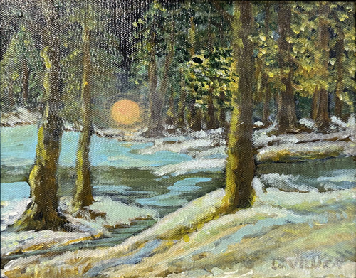 Winter In The Woods