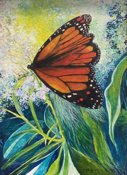 Elusive Butterfly